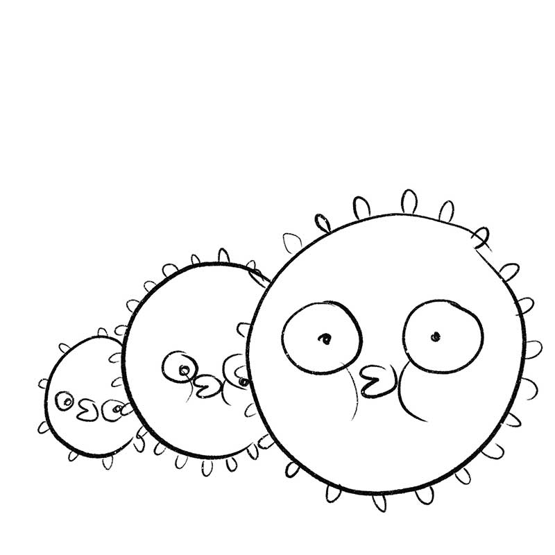 three blowfish illustration in pencil
