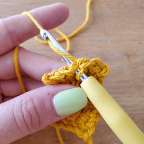 Insert your hook in the next stitch and yarn over