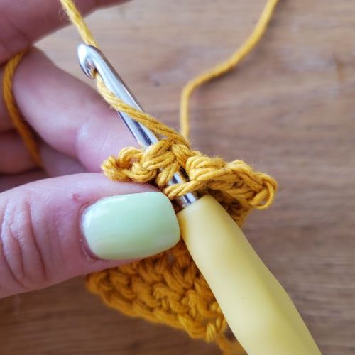 Insert your hook into the following stitch and yarn over