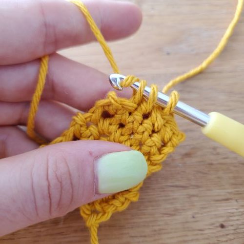 Yarn over and pull through all three loops on your hook