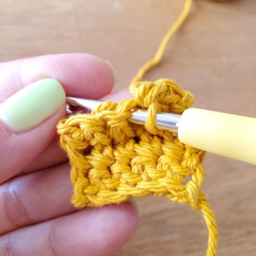 Insert your hook in the next stitch