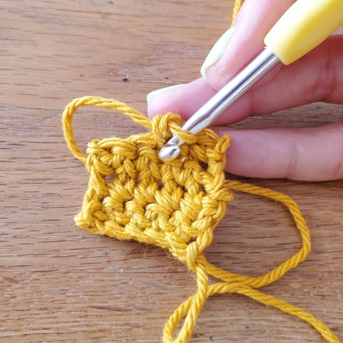 Insert your hook into the same stitch and make another single crochet