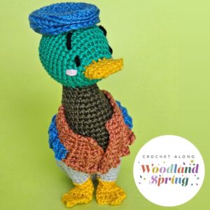 Fausto, a crocheted duck